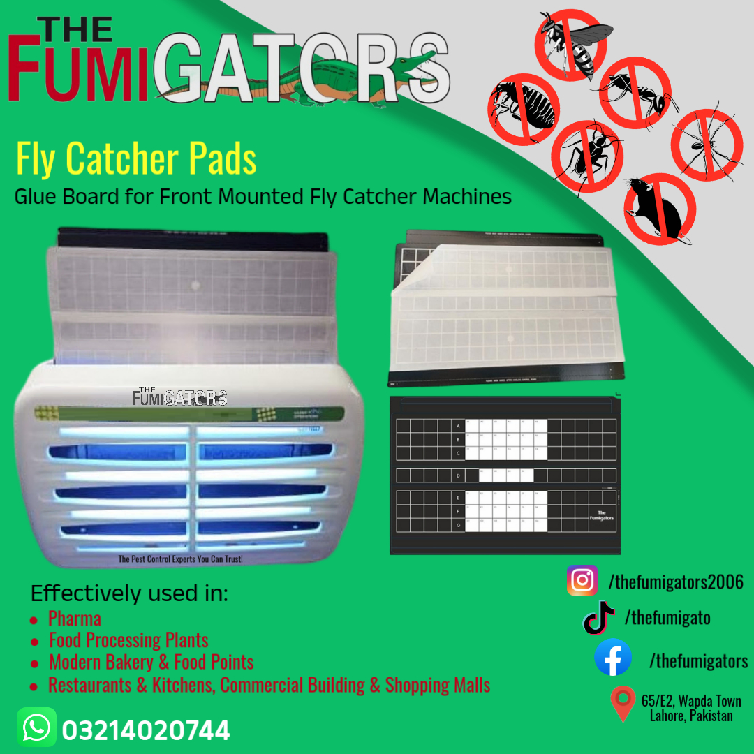 Fly Catcher Sticky Pad