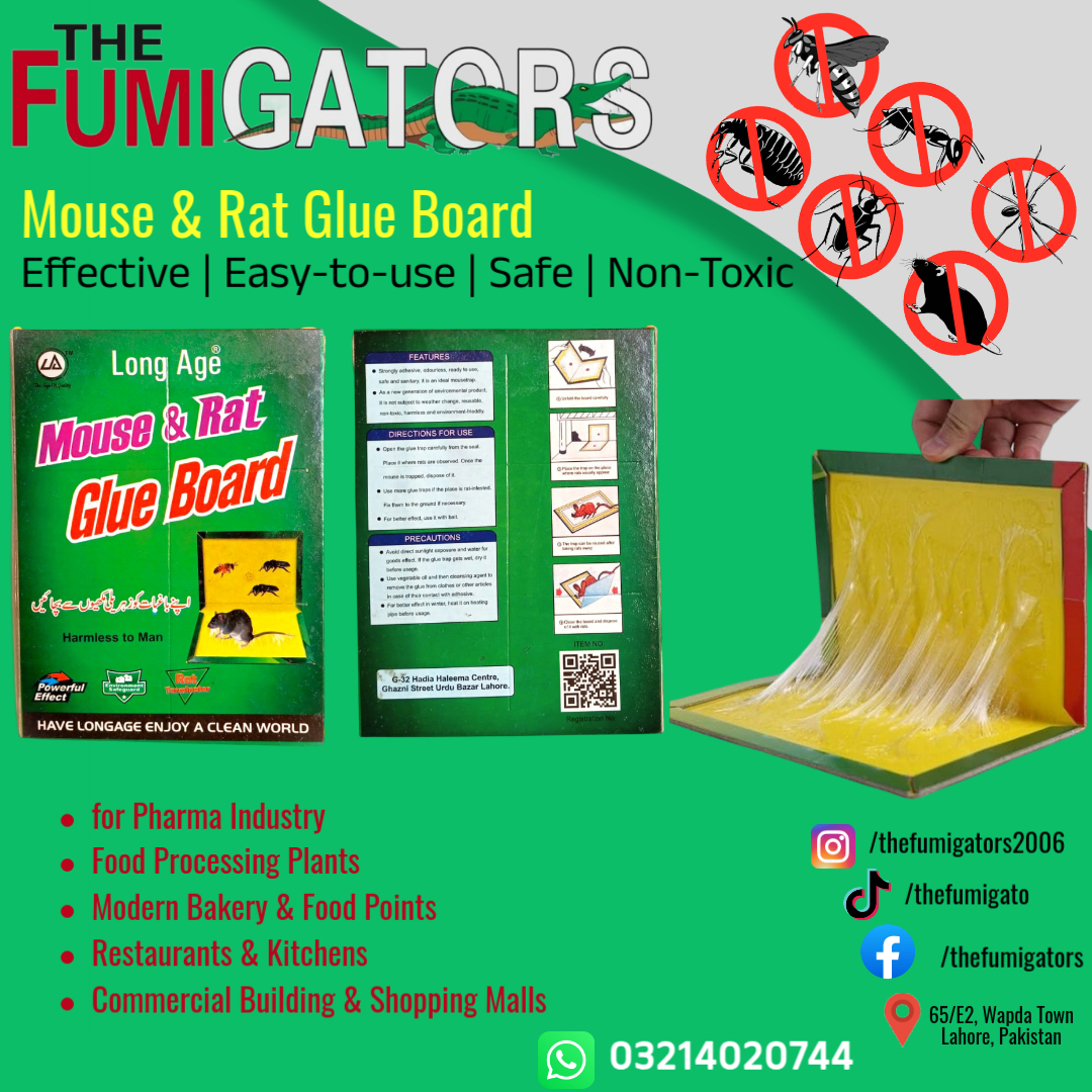 Mouse & Rat Glue Board